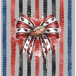 rugby team-NF 6013